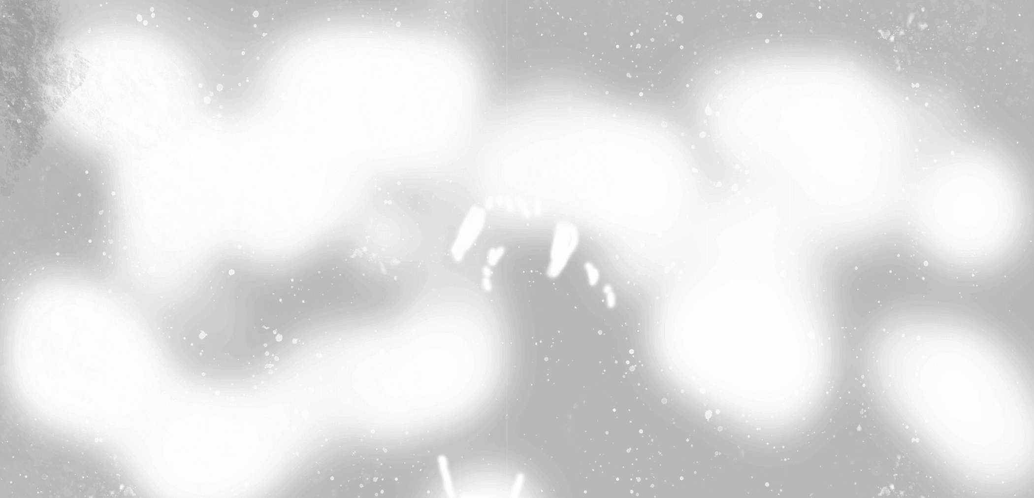 full-partner-kreativ