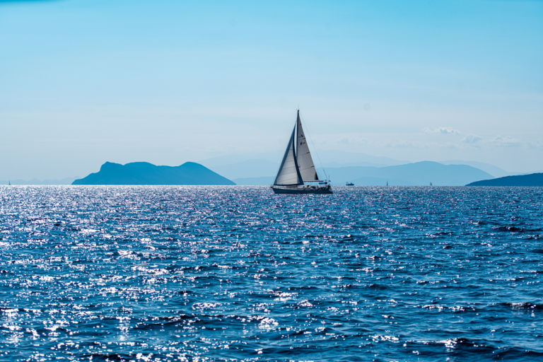 Programmierung von Webseiten in Mainz